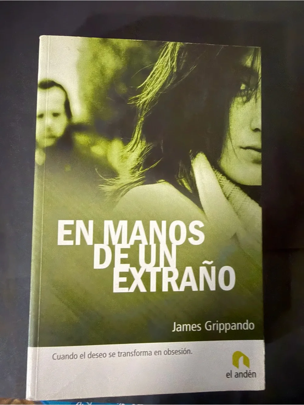 James Grippando En Manos de un Extraño